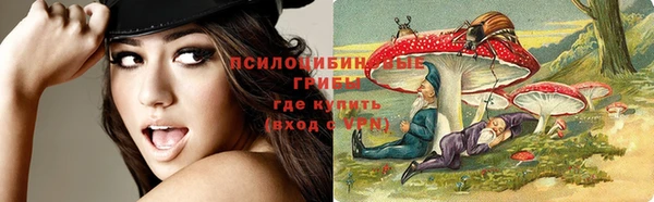 молекула духа Абинск