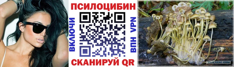 Псилоцибиновые грибы Magic Shrooms Калач